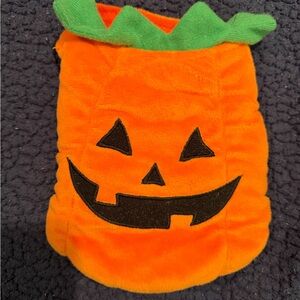 Pumpkin Costume